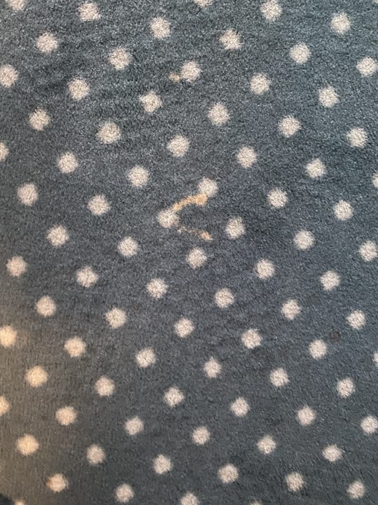 Zimmer Hotel Schwarzwald Freudenstadt