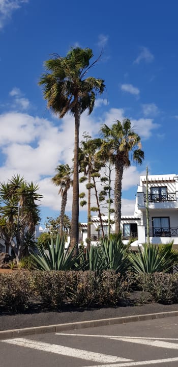 Außenansicht allsun App.-Hotel Albatros