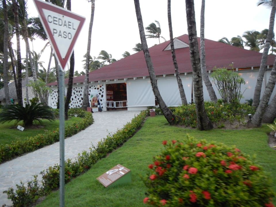 Mittagsbüffet Grand Palladium Select Bávaro Resort & Spa