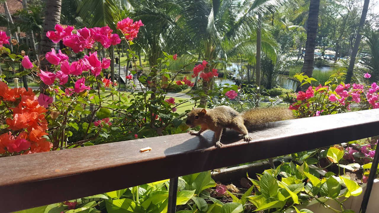 Gartenanlage Paradisus by Melia Bali