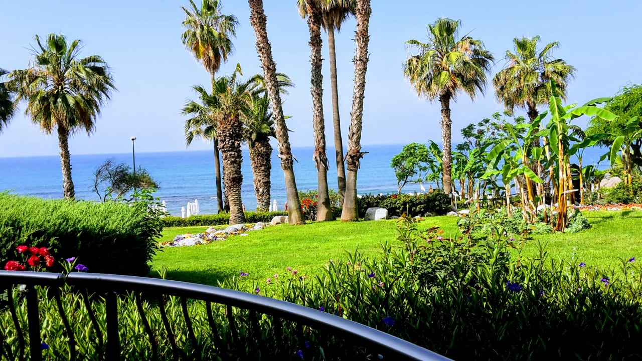 Zimmer Sunrise Queen Luxury Hotel