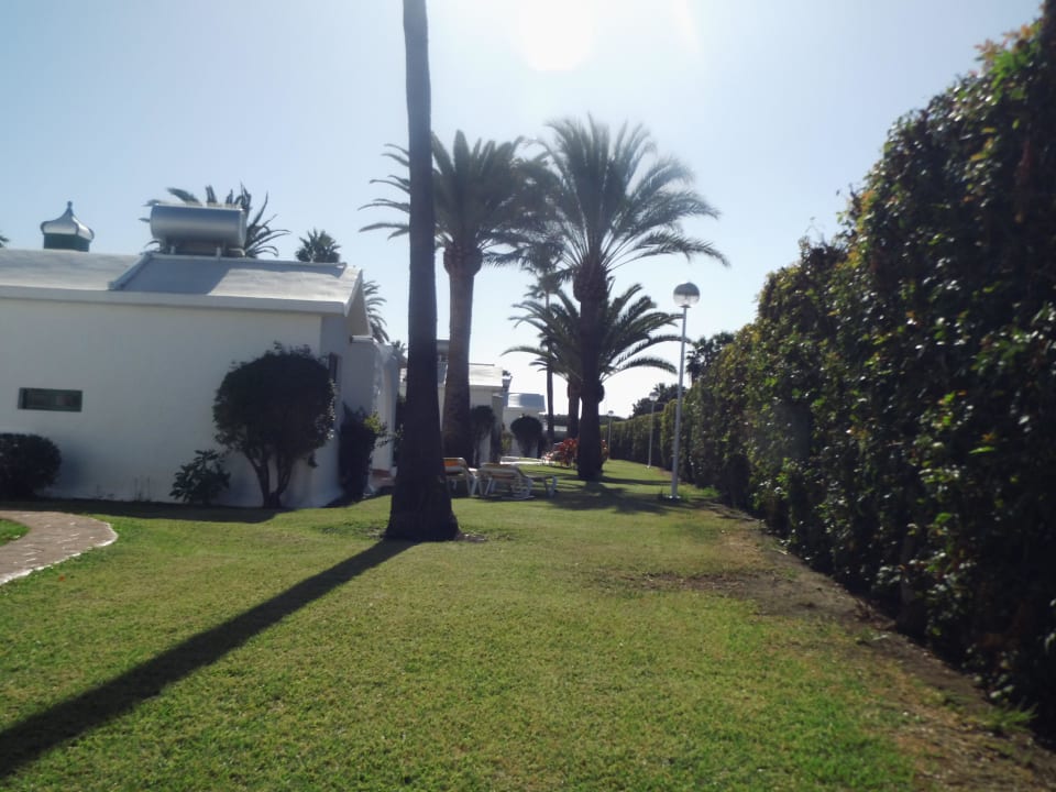 Gartenbereich vor den Bungalows Canary Garden Club