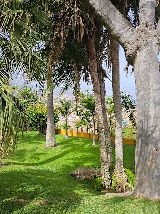 Gartenanlage Hotel Tigaiga