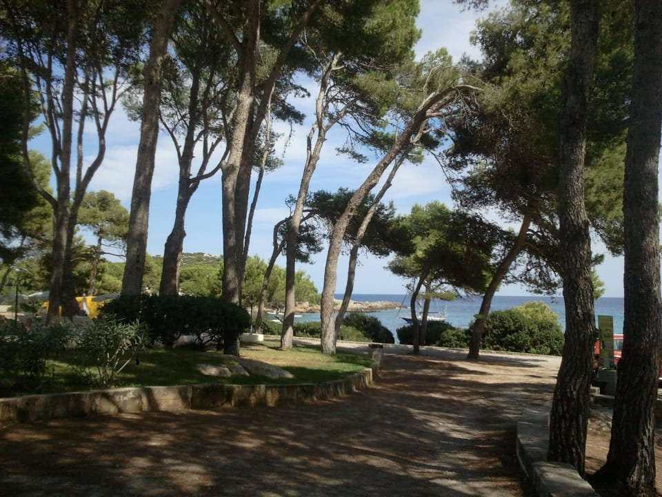 Aussicht Iberostar Waves Pinos Park