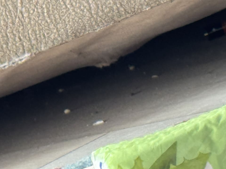 Zimmer Royal Seginus