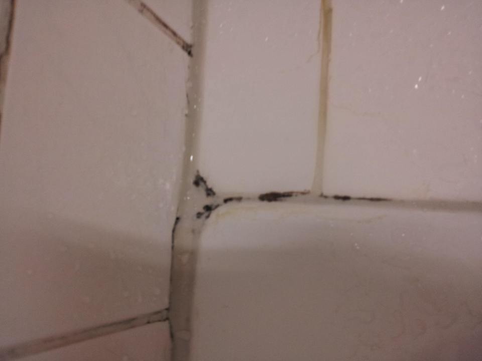 Schimmel im Bad Hotel Alster