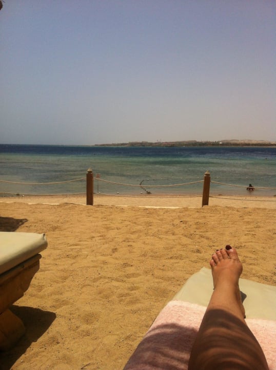 Blick von meiner Liege Makadi Spa - Adults only