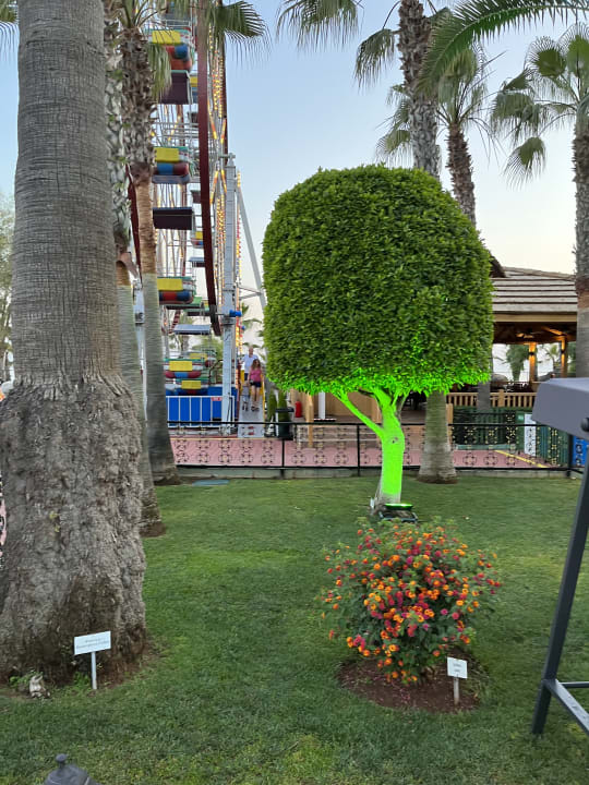 Sport & Freizeit Delphin Deluxe Resort