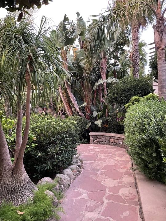 Gartenanlage Hotel Tritone Terme & Spa