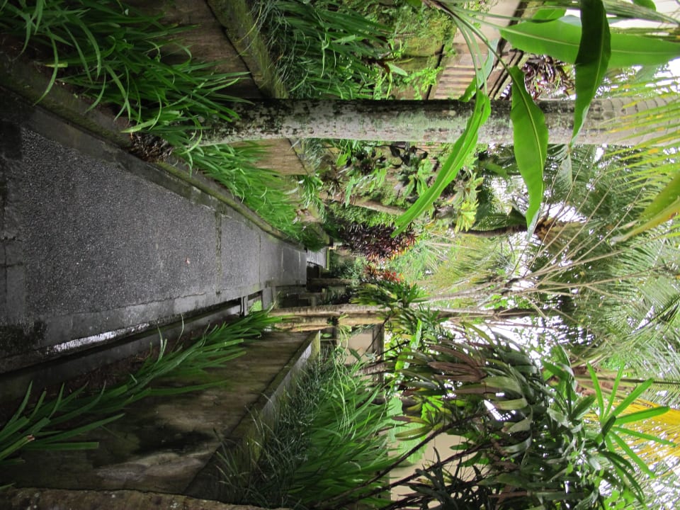 Anlage The Ubud Village Resort & Spa