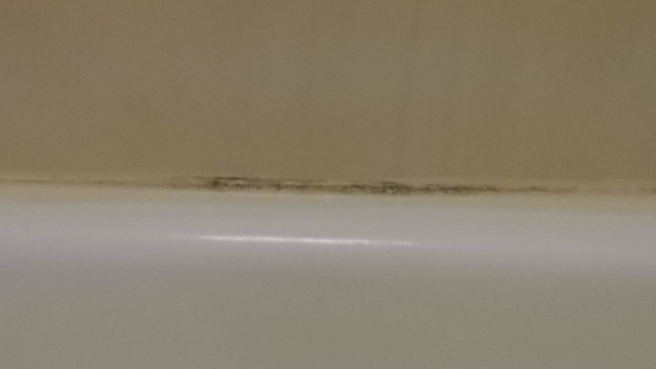 Schimmelfugen Seralago Hotel & Suites Main Gate East