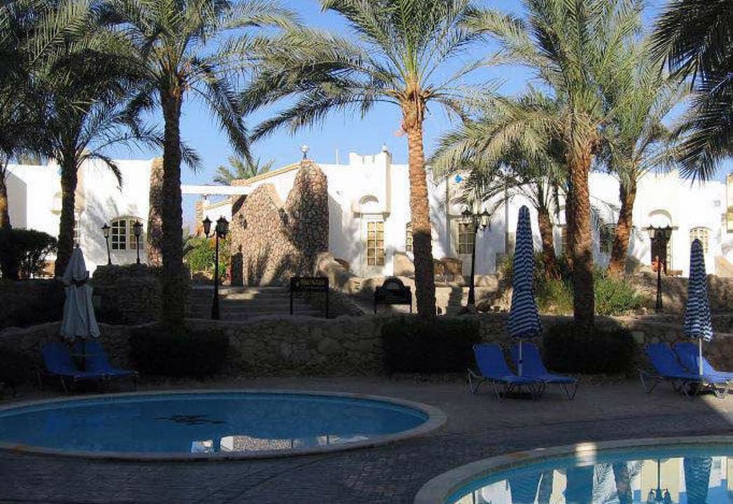 Garden & swimming pool Gafy Resort