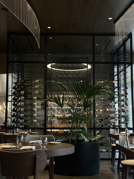 Gastro Pnoe Breathing Life