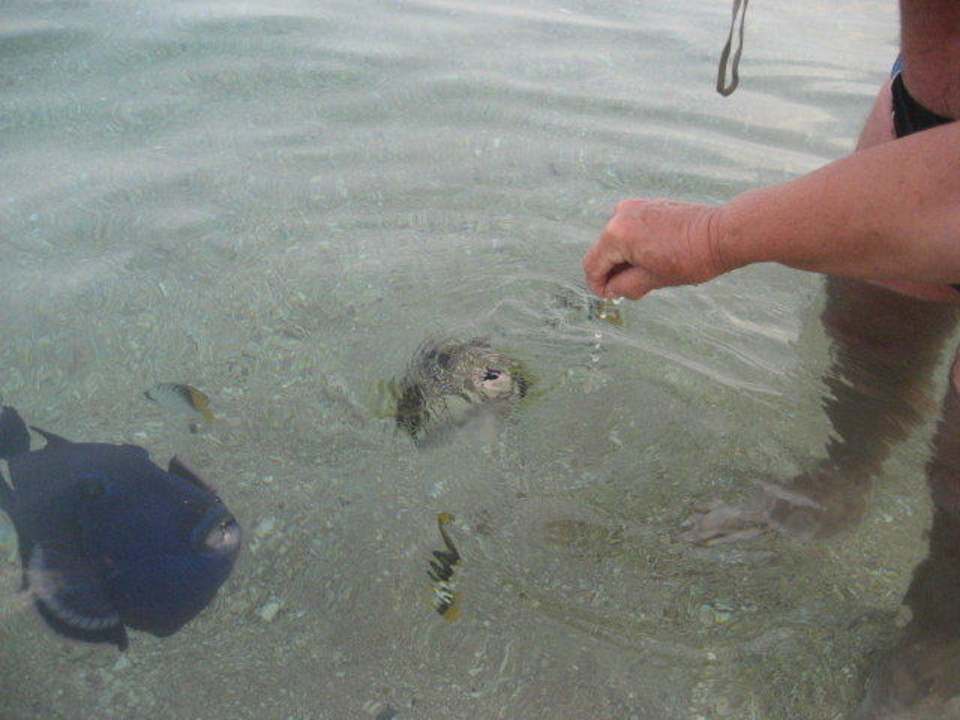 Pláž Sultan Gardens Resort