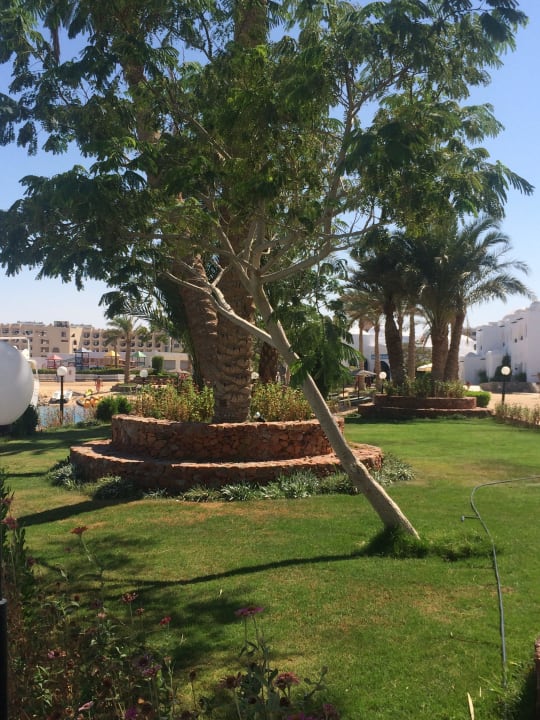 Wird immer gepflegt Arabella Azur Resort