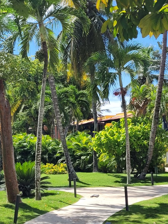 Gartenanlage Catalonia Royal La Romana - Adults only