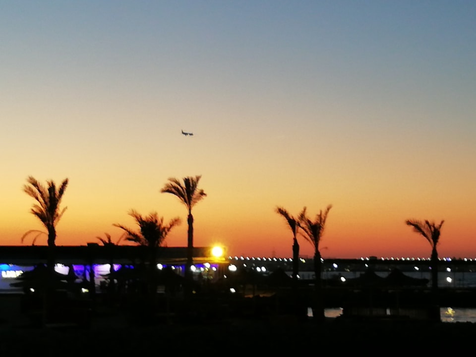 Ausblick Desert Rose
