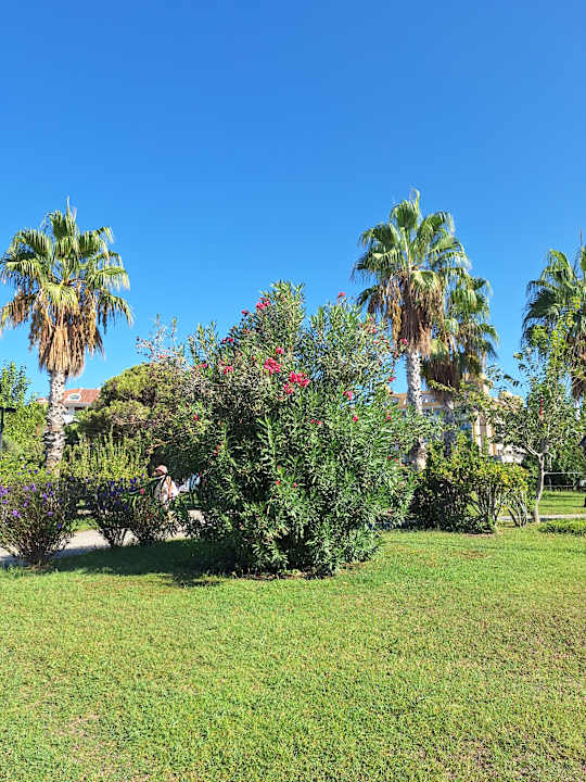 Strand Hane Family Resort