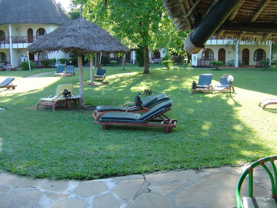 Affen Neptune Paradise Beach Resort & Spa