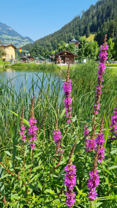Ausblick Kinderhotel Waldhof