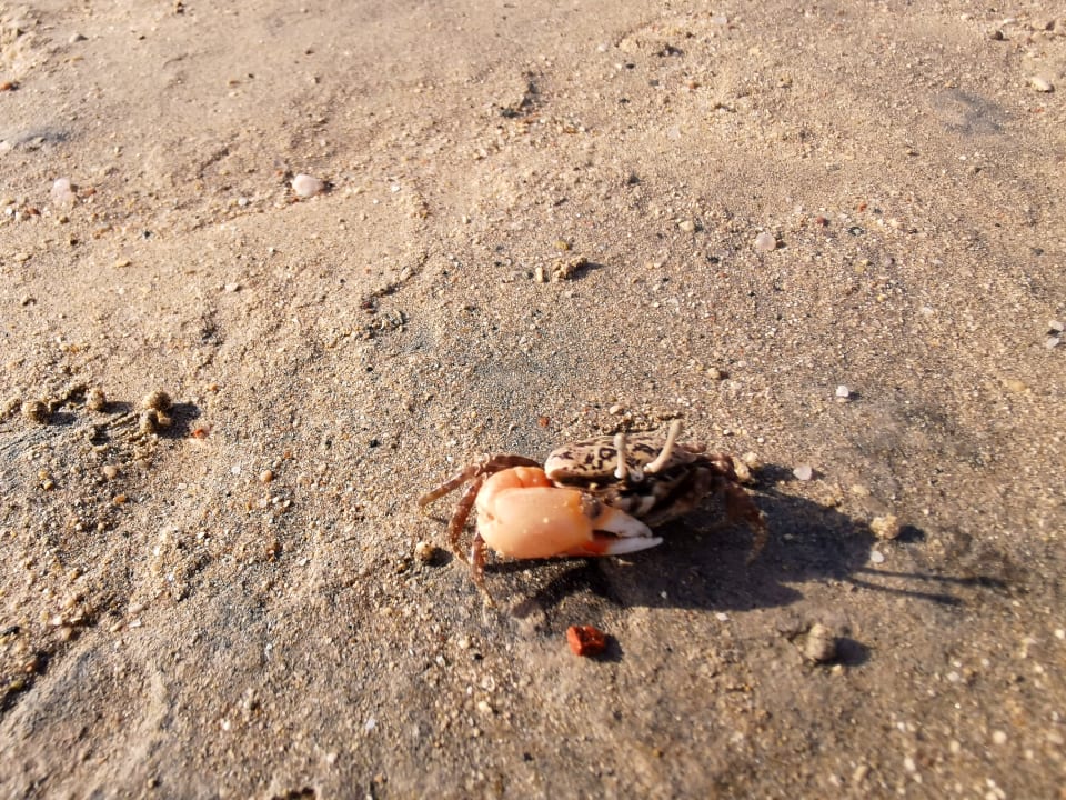 Strand Casa Mare Resort