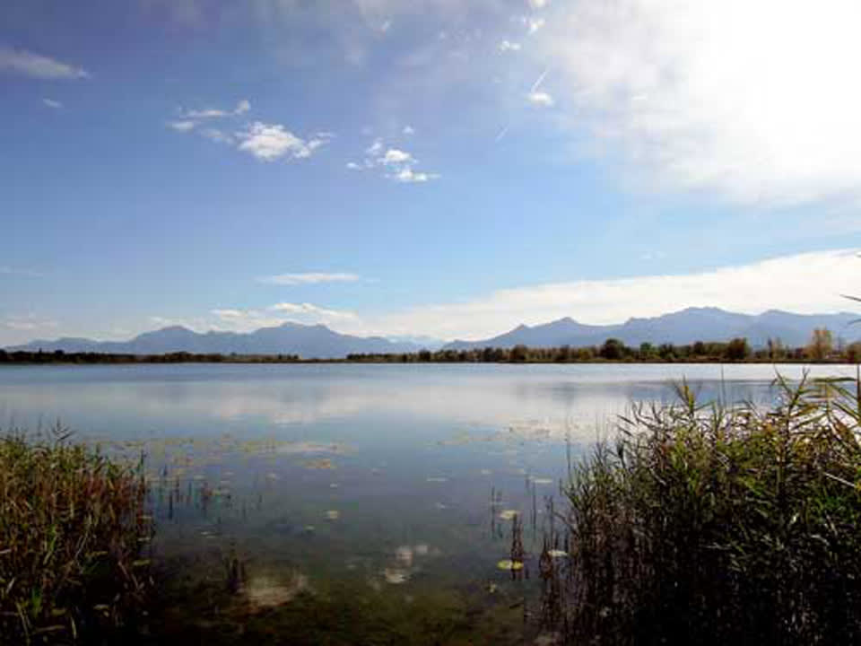 Außenansicht Ferienwohnung Patz