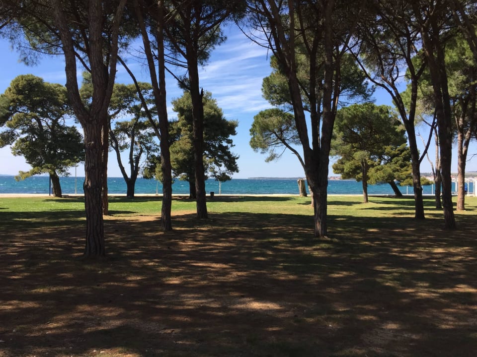 Garden and see Falkensteiner Hotel Adriana