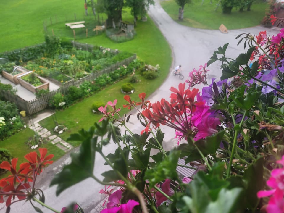 Ausblick Bauernhof Ablass Familie Zettel