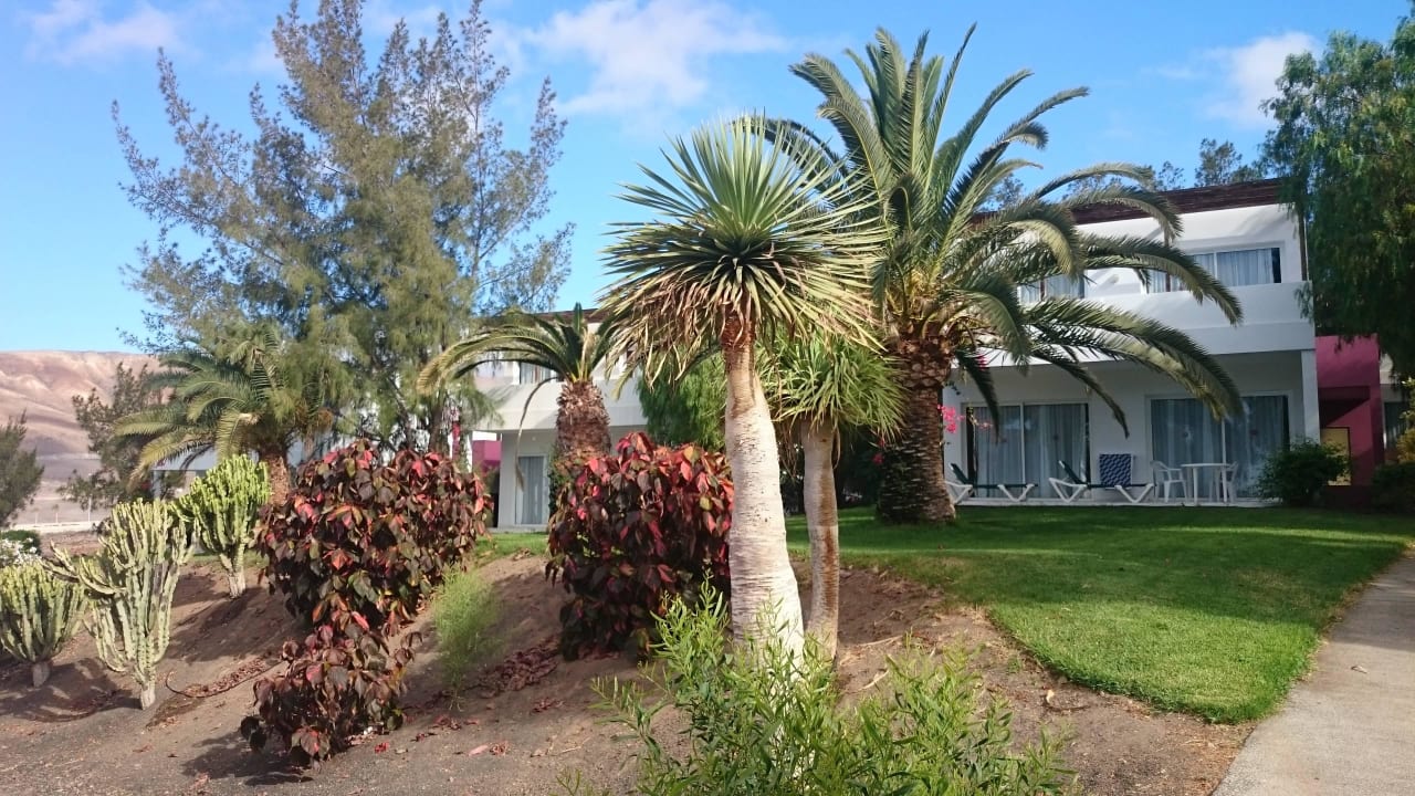 Bungalow allsun App.-Hotel Esquinzo Beach