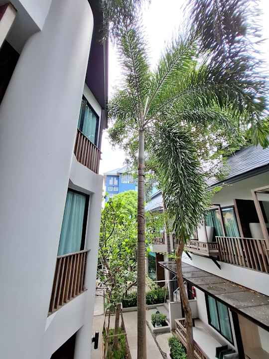 Ausblick Banlansuan Resort