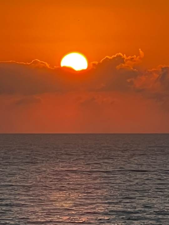 Ausblick Hotel Riu Palace Tres Islas