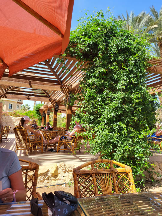 Gastro Makadi Palace