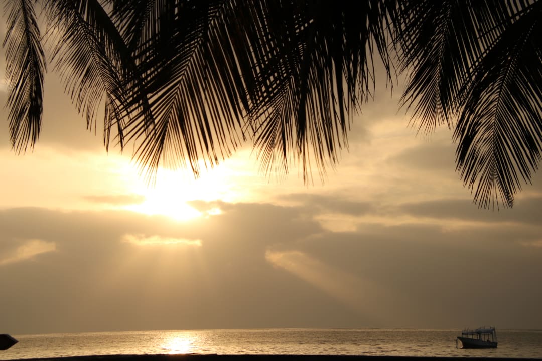 Ausblick Neptune Palm Beach Boutique Resort & Spa