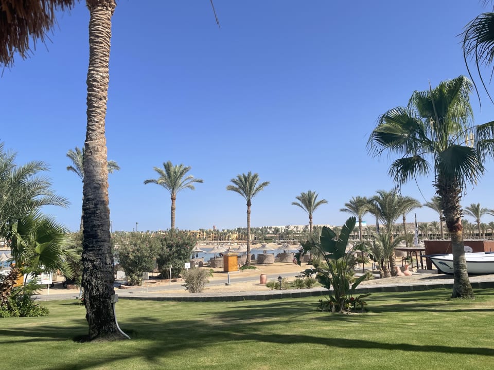 Gartenanlage Steigenberger Coraya Beach - Adults only