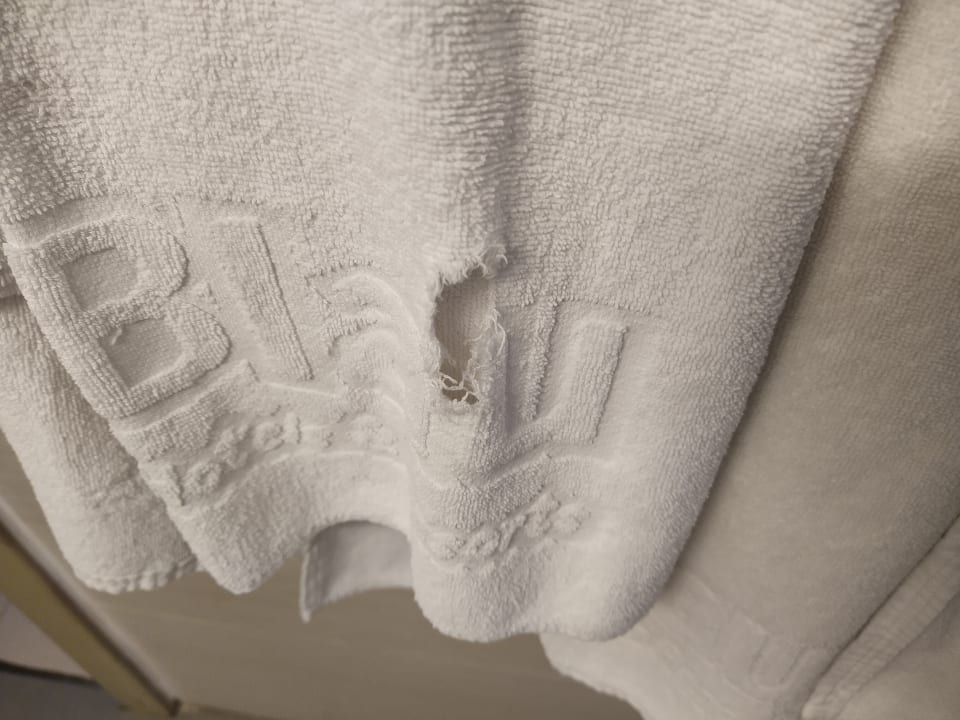 Zimmer blau punta reina