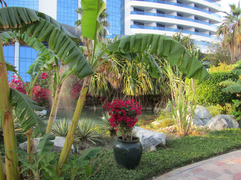 Impression Hotel Le Meridien Al Aqah Beach Resort