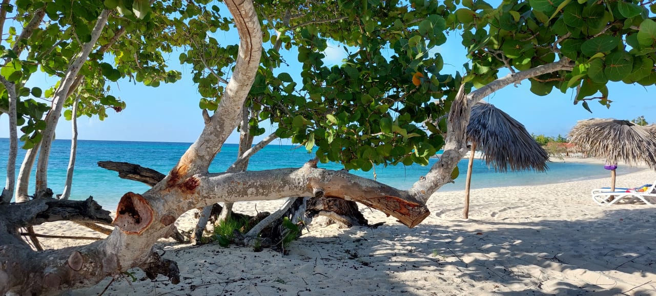 Strand Hotel Playa Pesquero