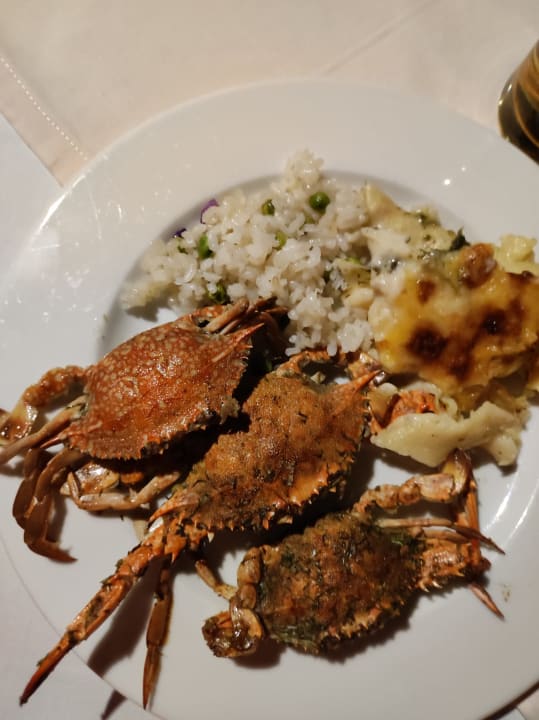 Gastro Arabia Azur Resort