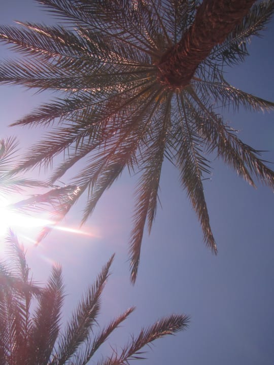 Gartenanlage Brayka Bay Resort