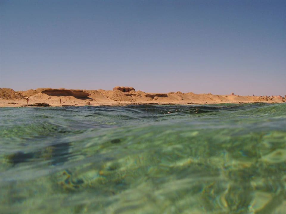 Blick auf den Strand Hotel Carnelia Beach Resort