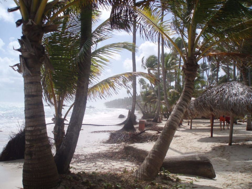 Strand nach dem Sturm 9. Hotel Grand Palladium Palace Resort, Spa & Casino