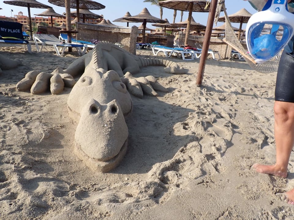 Strand Malikia Resort Abu Dabbab