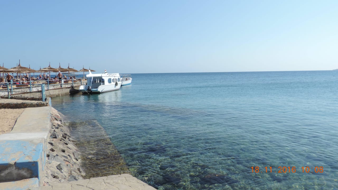 Beach Beach Albatros Resort