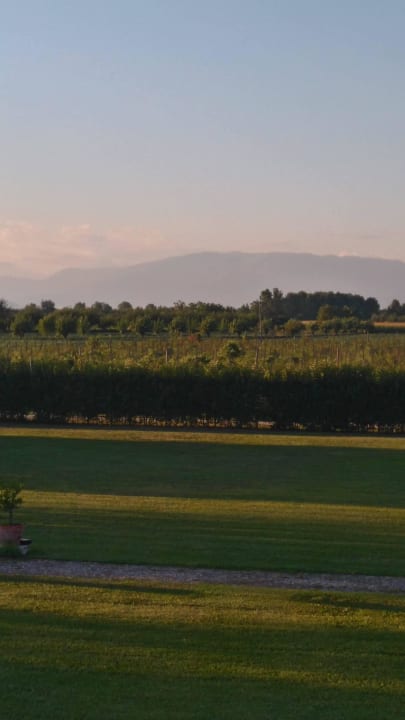 ... wunderbar - Prosecco wächst gleich nebenan ;) Hotel Relais Villa Cornér Della Regina