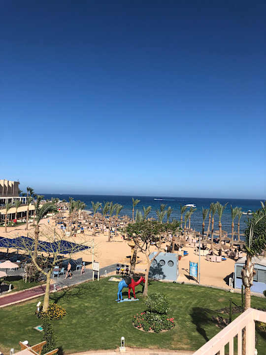 Ausblick Pickalbatros Palace Resort