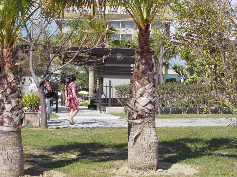 Wo bleibt er denn? Aydinbey Kings Palace & Spa