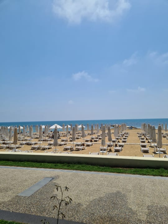 Strand PALOMA Perissia