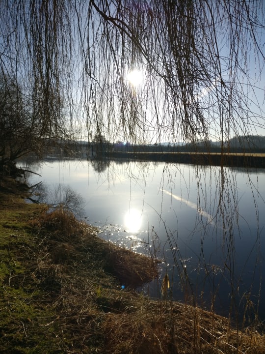 Ausblick Urlaub am Regen - Ferienhof Dirnberger