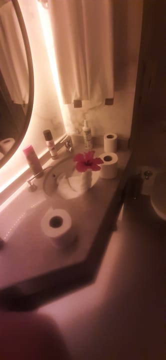 Zimmer Hotel Orfeus Park