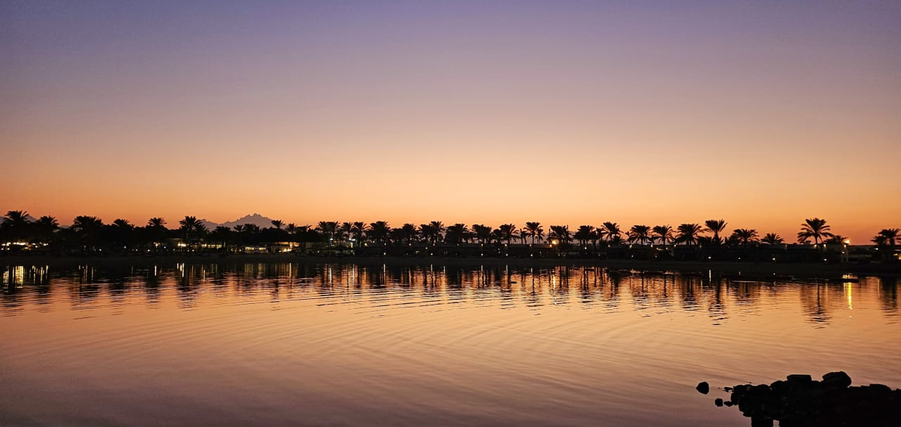 Ausblick Desert Rose